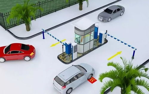 雙流區政府推出環保治理項目，破解停車難問題